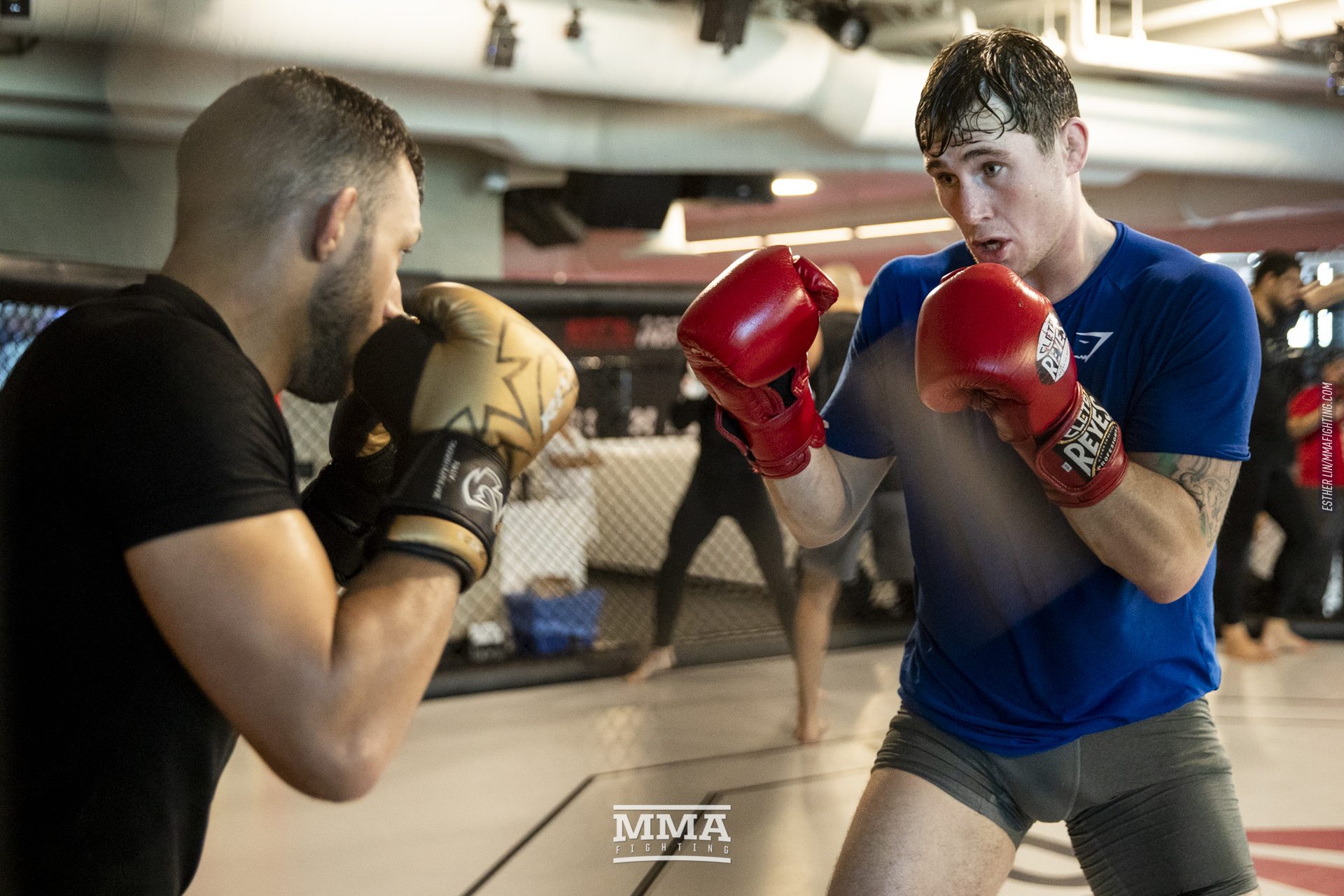 Darren Till
