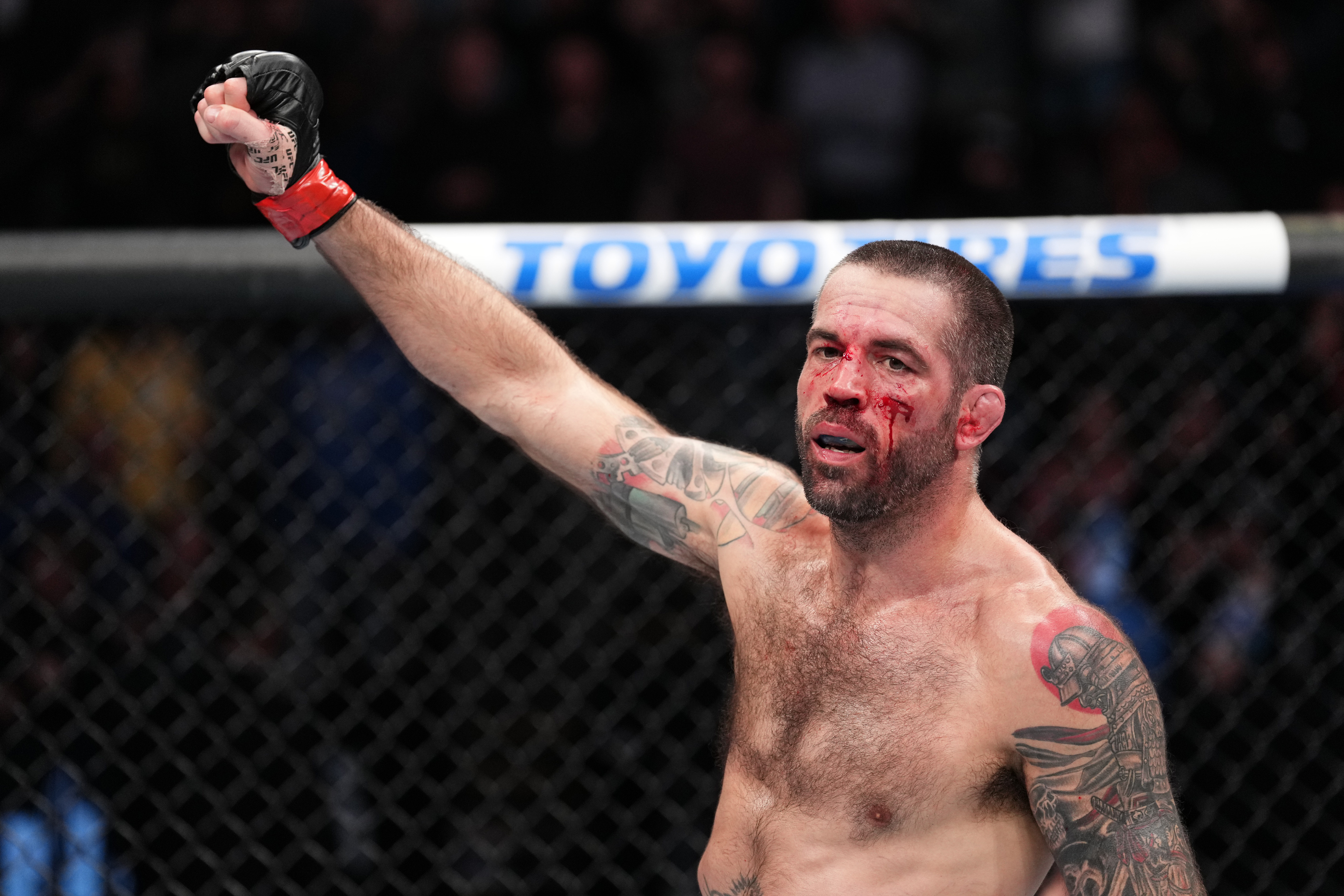 UFC Fight Night: Brown v Barberena