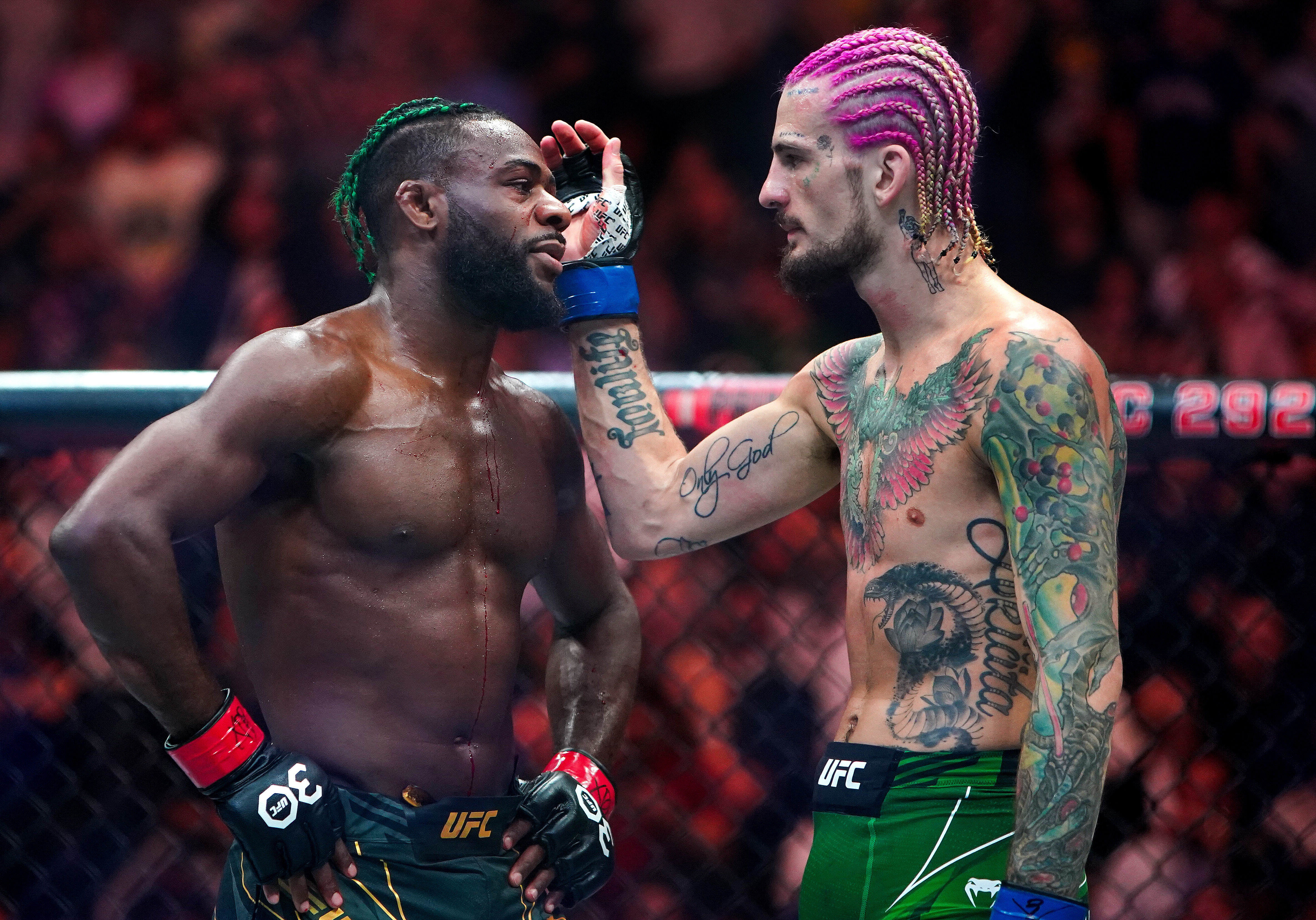 UFC 292 At TD Garden