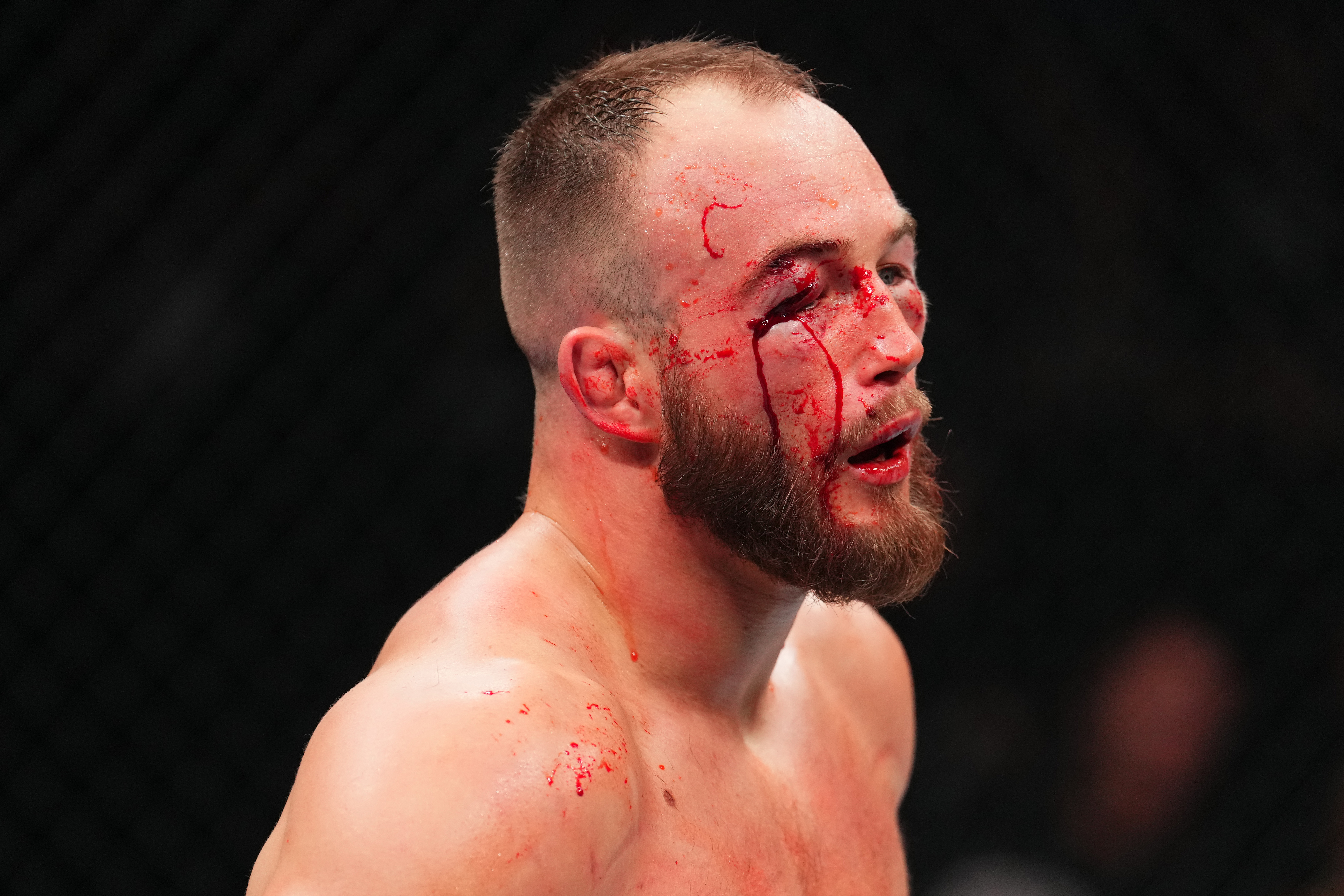 UFC Fight Night: Ferreira v Rebecki